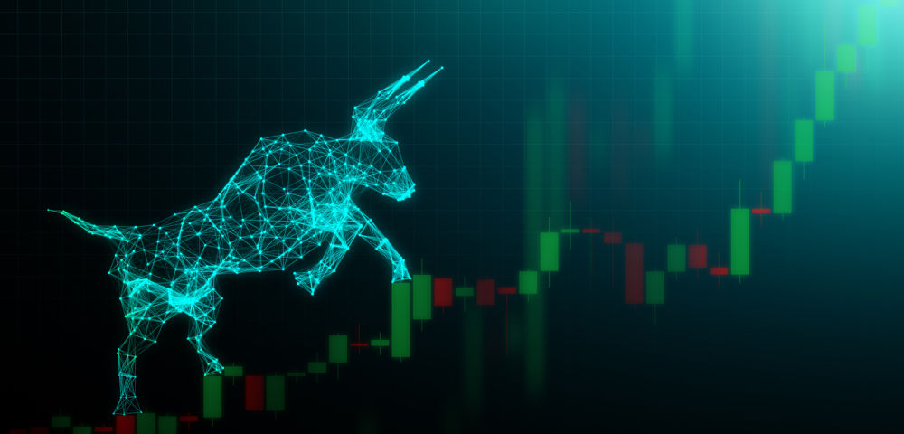 Bull market, Financial and business concept